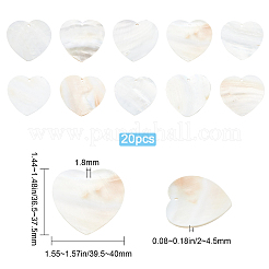 20 pendentif coquillage d'eau douce&nbsp;SHEL-SC0001-19