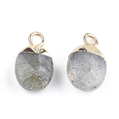 Natürliche Labradorit-Charms galvanisieren&nbsp;G-S344-09D