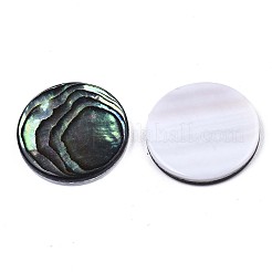 Cabochon di conchiglia abalone naturale / paua shell&nbsp;X-SSHEL-N034-72C-01