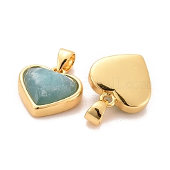 Natürliche Amazonit-Anhänger / charms&nbsp;G-E538-02G-05