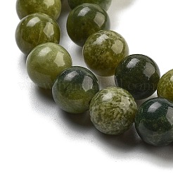 Natürliche Kanada Jade Perlenstränge&nbsp;G-NH0029-02A