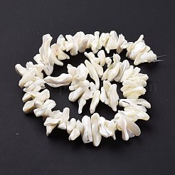 Natur trochid Muschelperlen Stränge&nbsp;SSHEL-G023-05B