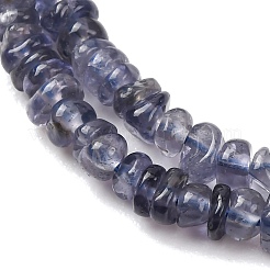 Naturperlen Stränge iolite&nbsp;G-K427-C01-01