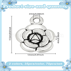 70 pièces 2 couleurs pendentifs en alliage de style tibétain&nbsp;FIND-LP0002-37
