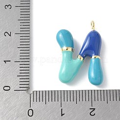 Pendentifs d'émail en laiton &nbsp;X-KK-E093-03G-N-01