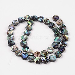 Natürliche Abalone Muschel / Paua Muschel Perlen Stränge&nbsp;X-SSHEL-G003-5-10x3mm