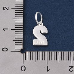 Série numérotée 925 breloques en argent sterling&nbsp;STER-Q002-01C