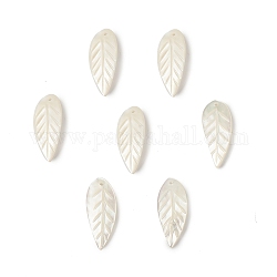 Natural Sea Shell Pendants, Leaf Charms, 27x11x1mm, Hole: 1.4mm