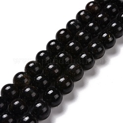 Hebras de perlas naturales de astrofilita, redondo, 10mm, agujero: 1 mm, aproximamente 39 pcs / cadena, 15.16'' (38.5 cm)