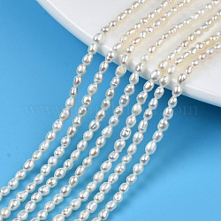Natural Cultured Freshwater Pearl Beads Strands, Rice, Seashell Color, 3~3.5x2.5mm, Hole: 0.6mm, about 90~92pcs/strand, 13.78 inch(35cm)