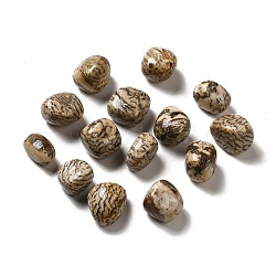 Perlas de feldespato natural, piedra caída, gemas de relleno de jarrones, sin agujero / sin perforar, pepitas, 17~30x15~27x8~22mm
