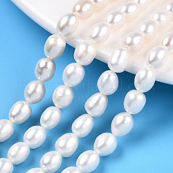 Fili di perle di perle d'acqua dolce coltivate naturali, riso, colore conchiglia, 7.5~8.3x6~6.7mm, Foro: 0.7~0.8 mm, circa 23pcs/filo, 7.09 pollice (18 cm)