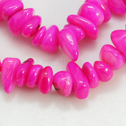 Chapelets de perles de coquillage naturel, teinte, puces, magenta, 5~12x5~8x1~6mm, Trou: 1mm