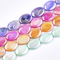 Shell perle d'acqua dolce fili, ab colore, tinto, ovale, colore misto, 18~20x13~15x4~5mm, Foro: 1 mm, circa 20pcs/filo, 15.7 pollice
