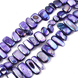 Natural Freshwater Shell Beads Strands, AB Color, Dyed, Nugget Stick, Slate Blue, 8~25x6~10x2~6mm, Hole: 0.5mm, about 46~49pcs/strand, 13.98 inch~14.56 inch(35.5~37cm)