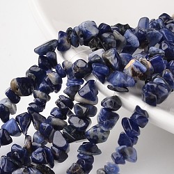 Hebras de cuentas de piedra de punto azul natural de chip, 4~6x8~12x2~4mm, agujero: 1 mm, alrededor de 34.6 pulgada