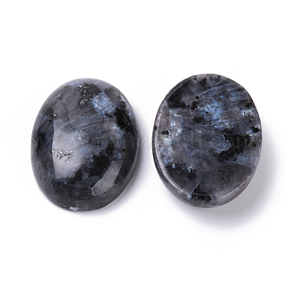Natur Labradorit Cabochons&nbsp;X-G-T062-19-1