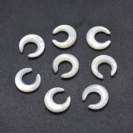 Perles de coquillage blanc naturel SSHEL-E567-18A-1