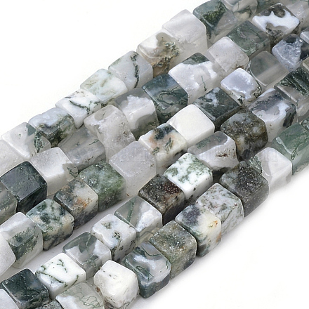 Natural Tree Agate Beads Strands G-R451-02-1