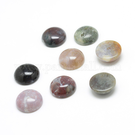 Natural Indian Agate Gemstone Cabochons X-G-T020-10mm-23-1