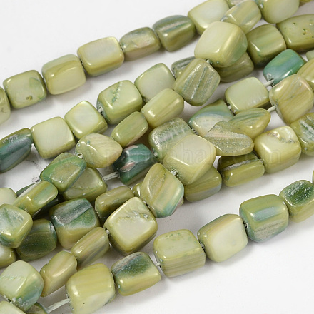 Chapelets de perles de coquillage naturel PBB073Y-1
