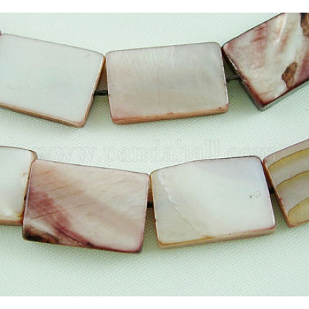 Dyed Natural Shell Bead Strands X-PBB085Y-1