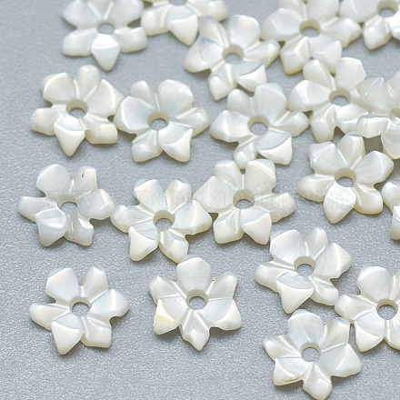 Perles de coquillage blanc naturel SSHEL-S260-016-1