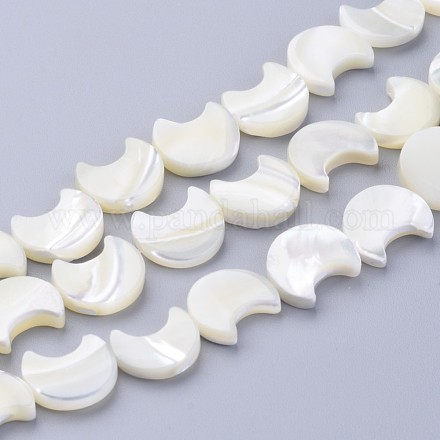 Shell normal de perles blanches de brins SSHEL-12X11-1