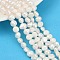 Natural Cultured Freshwater Pearl Beads Strands, Two Sides Polished, Grade 2A+, Linen, 7~8mm, Hole: 0.7mm, about 47~49pcs/strand, 13.19''~13.58''(33.5~34.5cm)