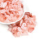 Transparent Acrylic Beads, Nuggets, Two Tone, Light Salmon, 11~21x7~12x6~8mm, Hole: 2mm, about 30pcs/20g