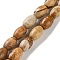 Natural Picture Jasper Beads Strands, Rice, 9x6mm, Hole: 1mm, about 44pcs/strand, 15.94 inch(40.5cm)