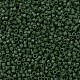MIYUKI Delica Beads X-SEED-J020-DB0797-3