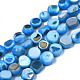Natural Trochid Shell/Trochus Shell Beads Strands SHEL-S258-083-B04-1