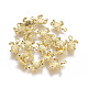 Alloy Charms PALLOY-ZN40923-G-FF-2