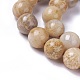 Natural Fossil Coral Beads Strands X-G-F648-02-D-3
