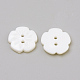 2-Hole Acrylic Buttons BUTT-Q037-08L-2