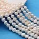 Natural Cultured Freshwater Pearl Beads Strands A02SA016-1