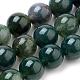 Natural Moss Agate Beads Strands G-I199-06-10mm-1