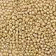 8/0 Glass Seed Beads X1-SEED-A017-3mm-1107-2