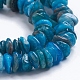 Natural Apatite Beads Strands X-G-G841-B06-3