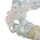 Chapelets de perles en morganite naturelle G-S363-021-01-2