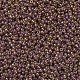 MIYUKI Round Rocailles Beads SEED-JP0008-RR0301-3