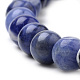 Natural South Africa Sodalite Beads Strands G-S259-35-10mm-3