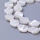 Chapelets de perles de coquillage SSHEL-E571-41-1