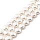 Electroplated Shell Pearl Beads Strands BSHE-G027-04-2