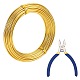 Kits de bijoux enroulés de fil de bricolage DIY-BC0011-81F-04-1