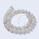 Natürlichen Mondstein Perlen Stränge G-F568-228-10mm-2