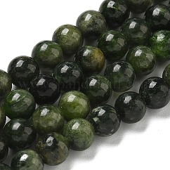 Fili di perline naturali diopside verde, tondo, 6x5.5mm, Foro: 0.8 mm, circa 69pcs/filo, 15.51'' (39.4 cm)