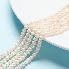 Hebras de perlas de agua dulce cultivadas naturales, pepitas, blanco cremoso, 5~6mm, agujero: 0.8 mm, aproximamente 62 pcs / cadena, 13.77 pulgada ~ 14.17 pulgadas