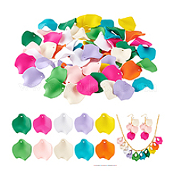 60pcs 10 Arten undurchsichtige Harzanhänger&nbsp;RESI-PH0002-59